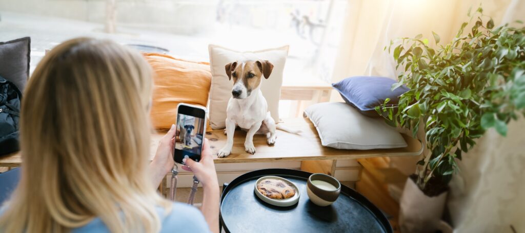 Unleash the Power of Dog Influencers: Why Brands Should Partner with Services like Dogfluencers